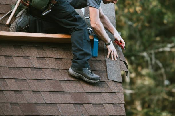 Roof Gutter Cleaning in Rosenberg, TX